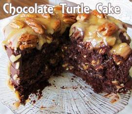 Chocolate Turtle Cake Recipe
Ingredients

1 (18.25 ounce) package German chocolate cake mix without pudding
14 ounces individually wrapped caramels
1/2 cup evaporated milk
3/4 cup butter
1 cup semisweet chocolate chips
1 cup chopped pecans
2 (1 ounce) squares unsweetened chocolate
2 tablespoons butter
2 tablespoons corn syrup
1 teaspoon vanilla extract
1 1/2 cups confectioners' sugar
3 tablespoons milk
Directions

Preheat oven to 350 degrees F (175 degrees C). Lightly grease one 9x13 inch pan.

Prepare cake mix according to package directions and pour 1/2 of the batter into the prepared pan. Bake at 350 degrees F (175 degrees C) for 15 minutes.

In a saucepan melt caramels, 3/4 cup of the butter or margarine, and evaporated milk, pour over baked cake. Sprinkle chocolate chips and chopped pecans over caramel mixture. Pour remaining cake batter on top and bake for 20 minutes at 350 degrees F (175 degrees C). Cool and frost.

To Make Frosting: Melt 2 tablespoons of the butter or margarine and the unsweetened chocolate together. Remove from heat and add the corn syrup, vanilla, confectioner's sugar, and milk, mix well and use to frost cooled cake.

http://divinedesserts.org/